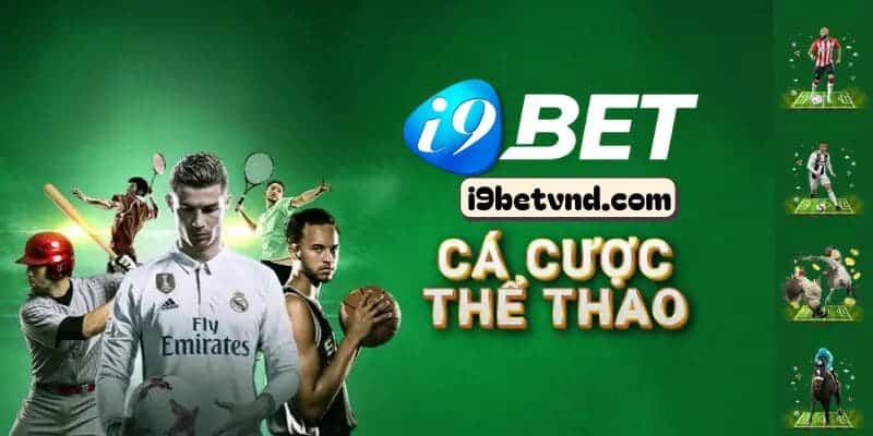 Tìm hiểu vai trò của MK Sports đới với nền tảng thể thao I9bet